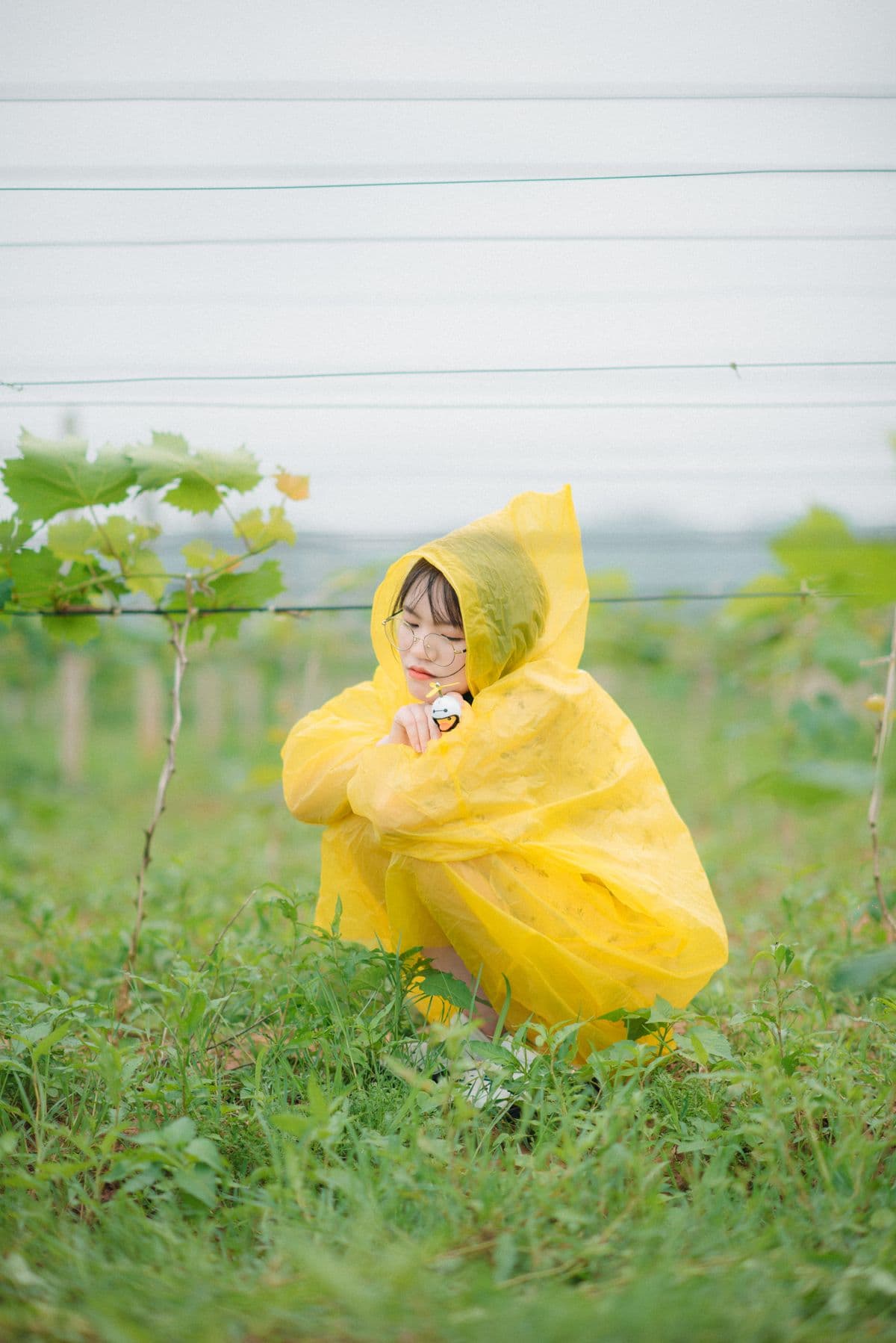 Дощовик Rain